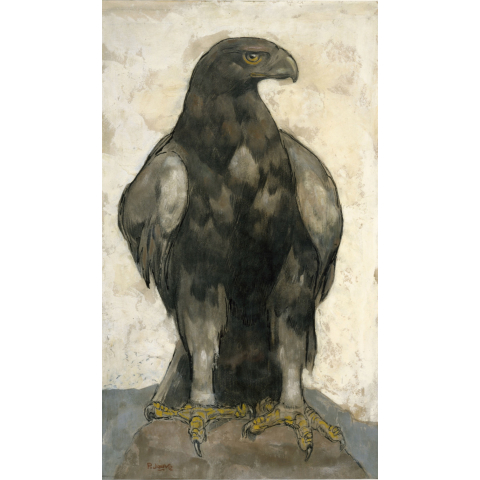 Aigle.