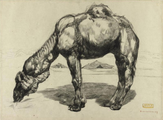 Paul JOUVE (1878-1973) - Chameau à Bou Saada, 1909.