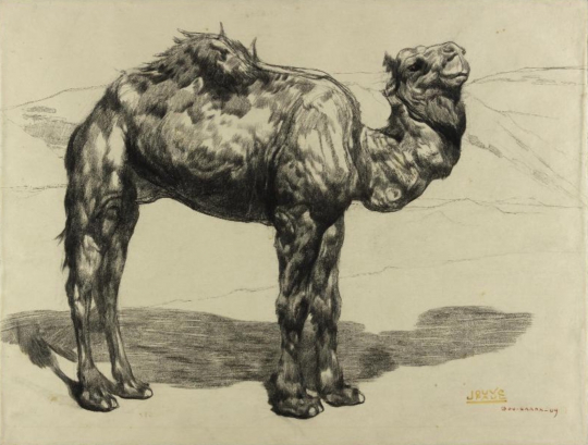 Paul JOUVE (1878-1973) - Dromadaire à Bou Saada, 1909.