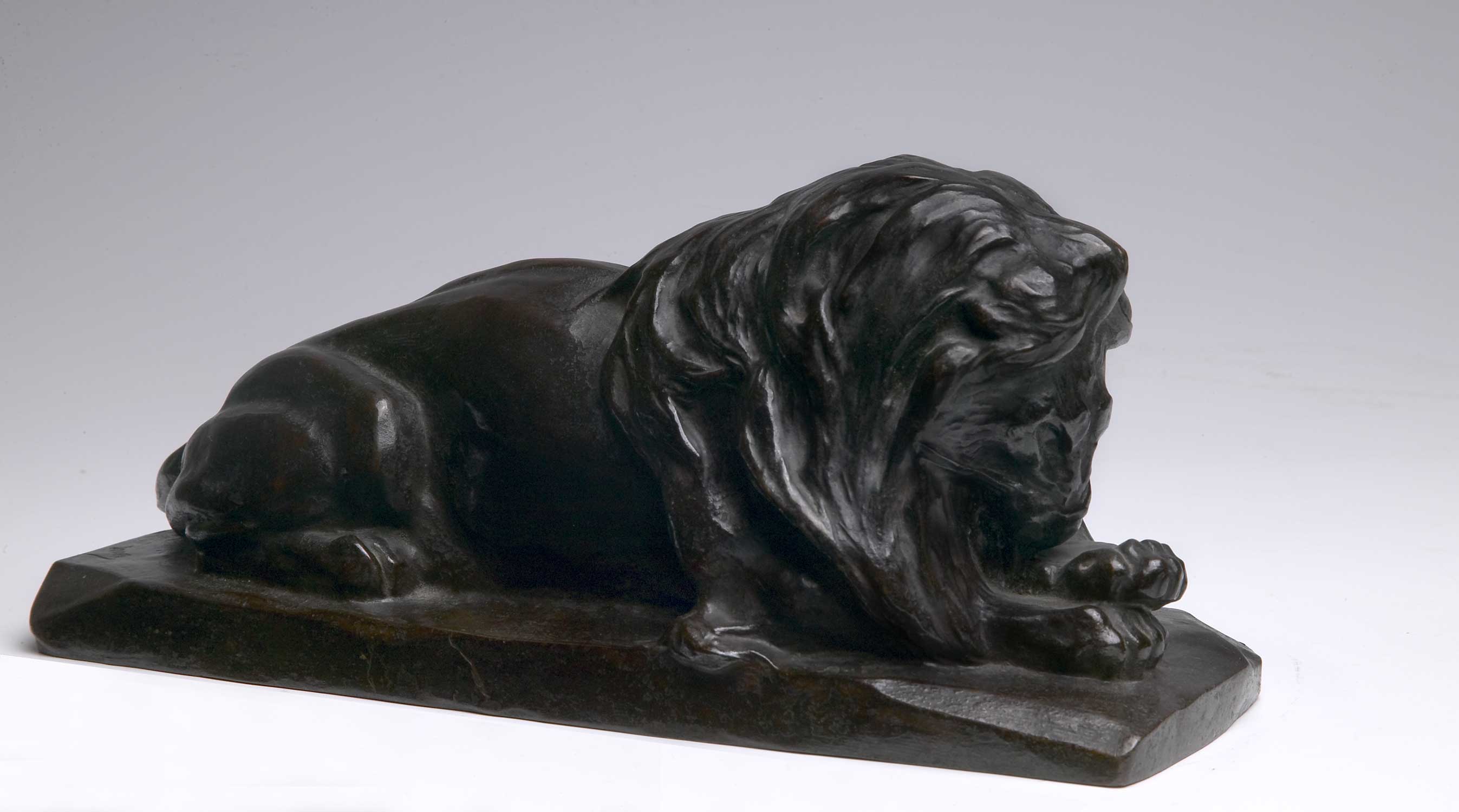 Lion couché 1904