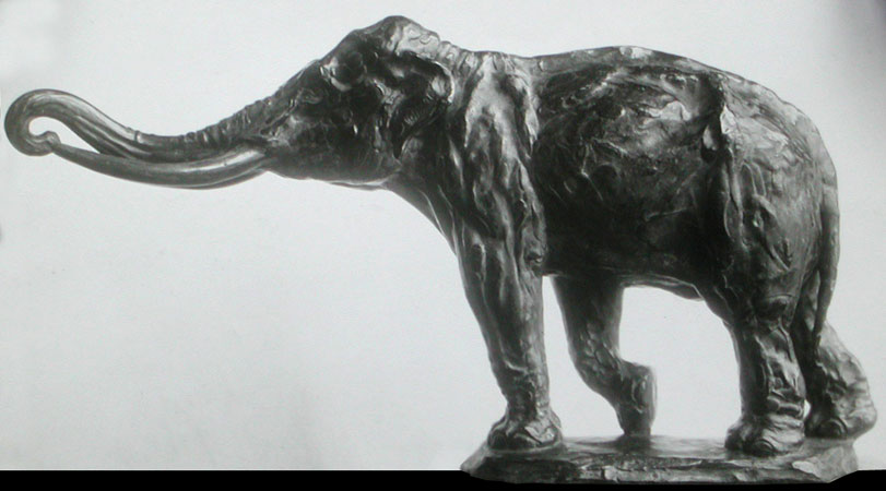 Éléphant. 1913.