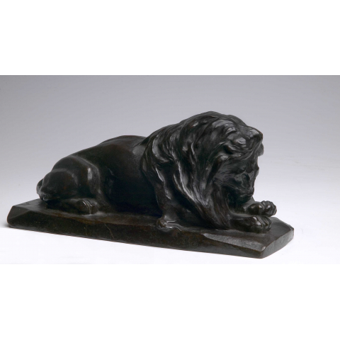Lion couché 1904