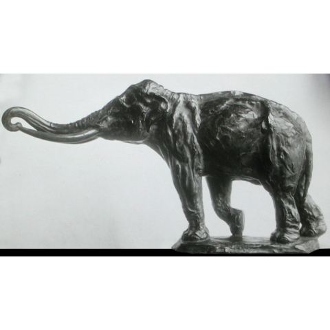 Éléphant. 1913.