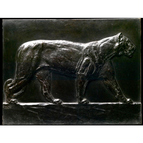Lionne marchant. 1905.