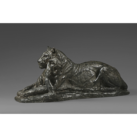 Lionne et son lionceau. 1946.