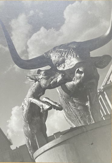 Paul JOUVE (1878-1973) - Tête de taureau. 1937.