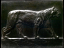 Paul JOUVE (1878-1973) - Lionne marchant. 1905.