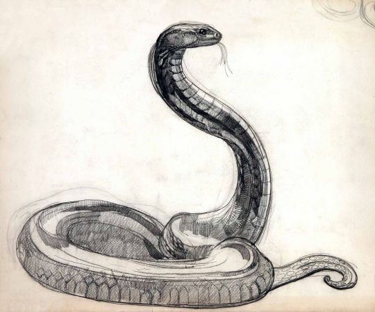 Paul JOUVE (1878-1973) - Serpent dressé, 1924
