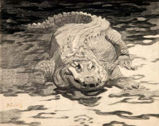 Paul JOUVE (1878-1973) - Crocodile, C1910.