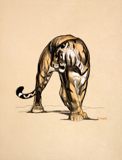 Paul JOUVE (1878-1973) - Tigre de face, 1925
