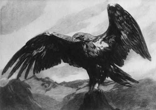 Paul JOUVE (1878-1973) - Aigle s'envolant, C 1920