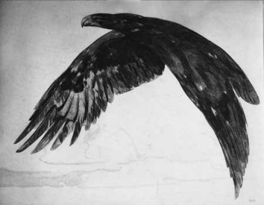 Paul JOUVE (1878-1973) - Aigle en plein vol