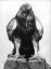 Paul JOUVE (1878-1973) - Aigle sur un rocher