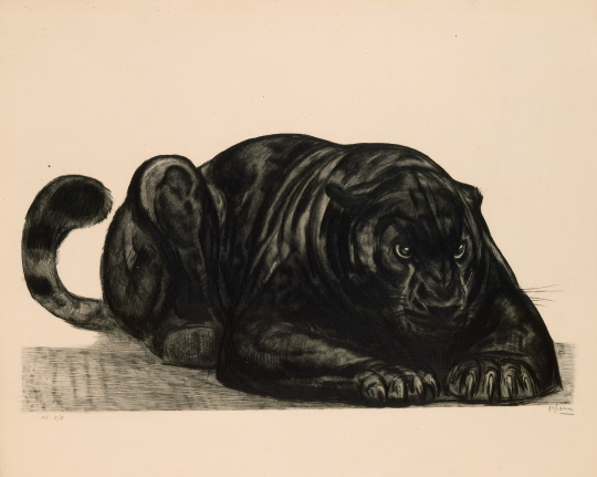 Paul JOUVE (1878-1973) - Panthère noire couchée de face. 1930.