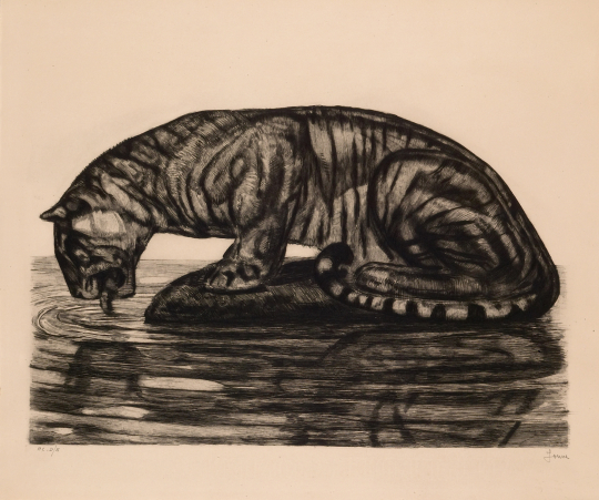 Paul JOUVE (1878-1973) - Tigre s'abreuvant. 1930.