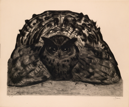 Paul JOUVE (1878-1973) - Grand duc ebouriffé. 1930.