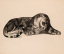 Paul JOUVE (1878-1973) - Panthère couchée. 1930.