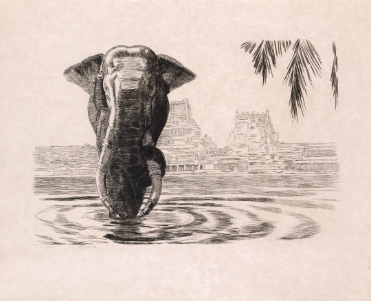 Paul JOUVE (1878-1973) - Éléphant sacré devant le temple de Madura. 1931.