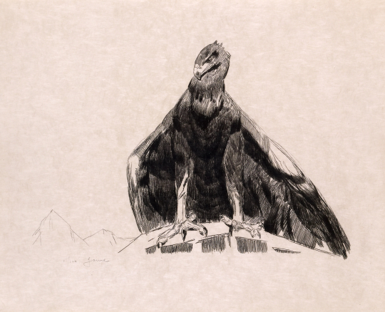 Paul JOUVE (1878-1973) - Aigle de face. 1931.