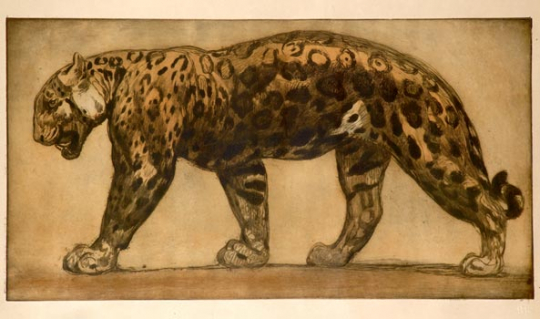 Paul JOUVE (1878-1973) - Panthère marchant. 1914.