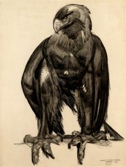 Paul JOUVE (1878-1973) - Aigle à l'aile cassée.1927.