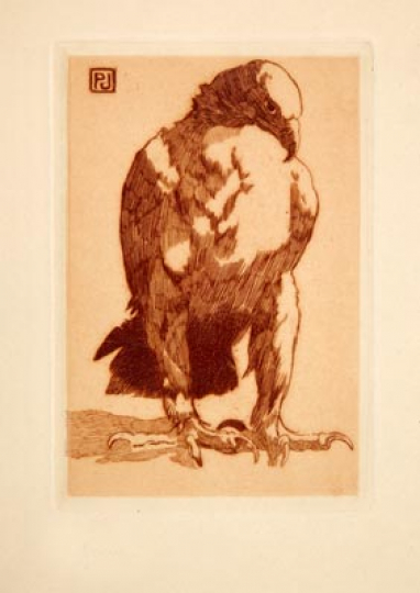 Paul JOUVE (1878-1973) - Aigle.