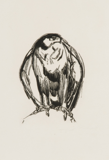 Paul JOUVE (1878-1973) - Aigle de face, 1929.