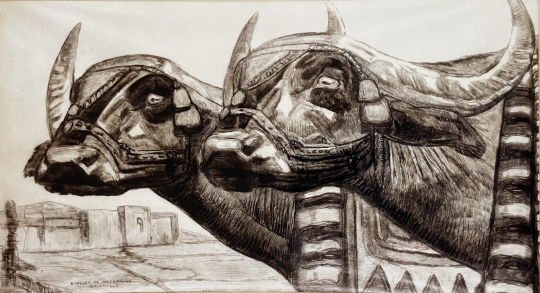 Paul JOUVE (1878-1973) - Buffles macédoniens. 1920.