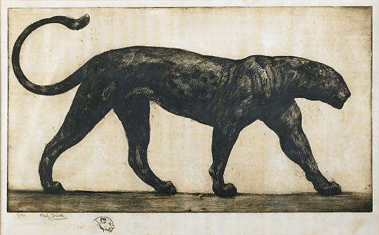 Paul JOUVE (1878-1973) - Panthère marchant.
