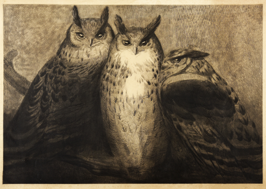 Paul JOUVE (1878-1973) - Trois grands Ducs.