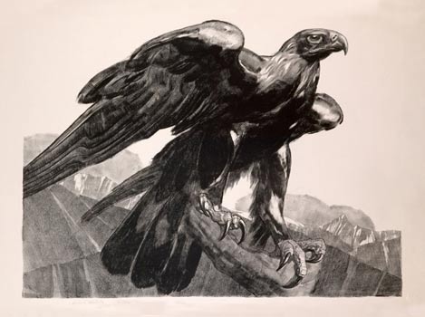 Imperial eagle. 1929.