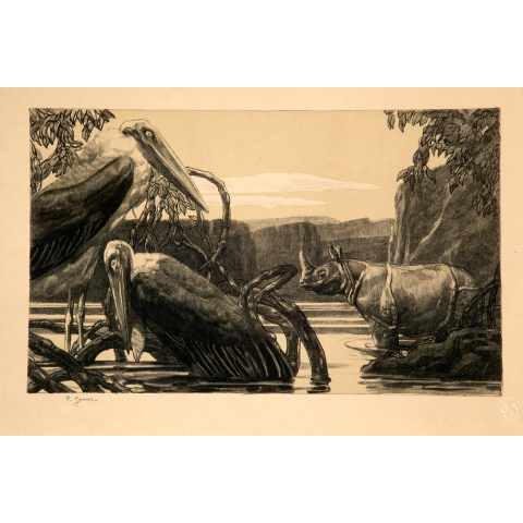 Marabout et rhinocéros