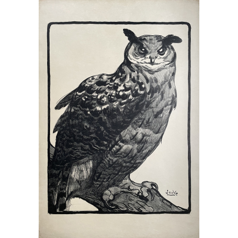 Grand duc.
