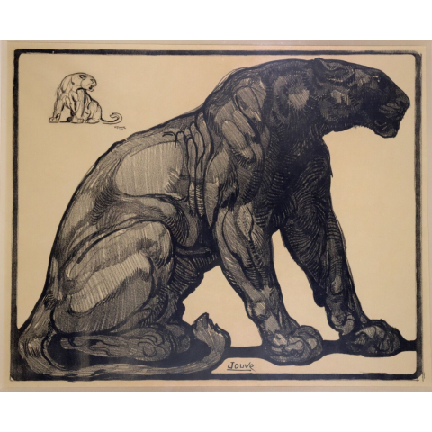 Panthère noire assise. C 1910.