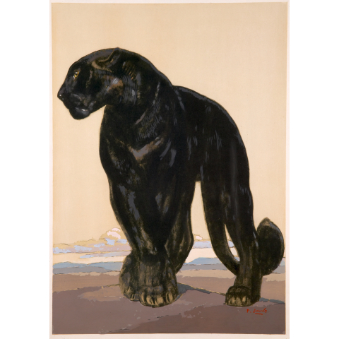 Panthère noire debout. Vers 1927.