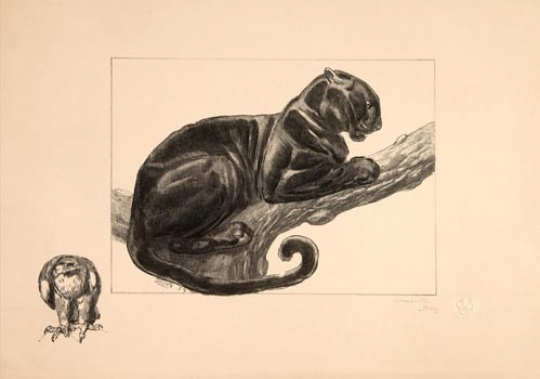 Paul JOUVE (1878-1973) - Panthère branchée 1939