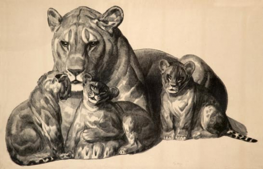 Paul JOUVE (1878-1973) - Lionne et ses lionceaux. 1929.
