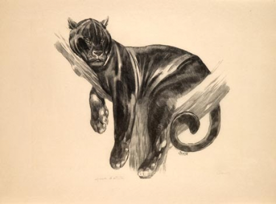 Paul JOUVE (1878-1973) - Panthère branchée.1938.