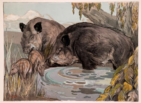 Paul JOUVE (1878-1973) - Sanglier, laie et marcassins 1958