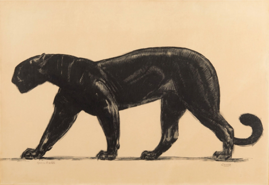 Paul JOUVE (1878-1973) - Panthère noire marchant. Vers 1922.