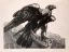 Paul JOUVE (1878-1973) - Aigle impérial. 1929.