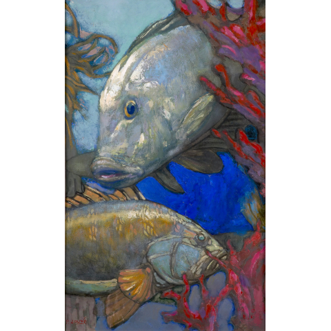 Poissons des Bermudes, 1956