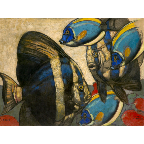Poissons des Bermudes. 1956.