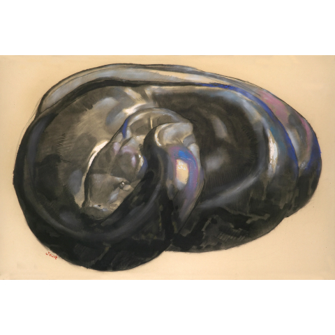 Python lové, vers 1925.