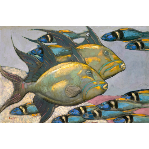 Poissons des Bermudes, 1957.