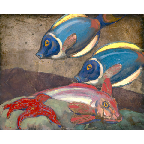 Poissons des Bermdes et étoile de mer, 1957.