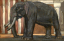 Paul JOUVE (1878-1973) - Éléphant devant le temple de Madura, 1923