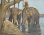 Vente par "Christie's France" du 08/06/2006 - Éléphant, vers 1923. (lot n°223)
