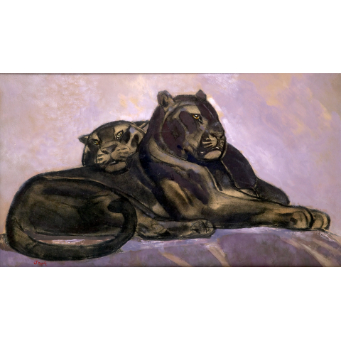 Couple de panthères noires couchées