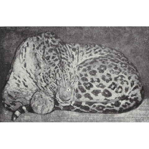 Panthère couchée. C 1914.